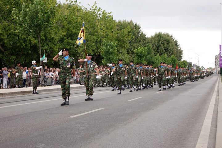 exercito 29